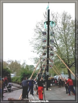maibaum-2015-3.jpg