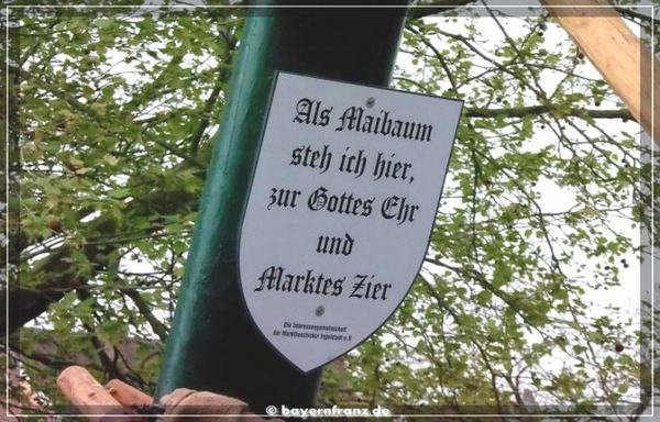 maibaum-2015-4.jpg