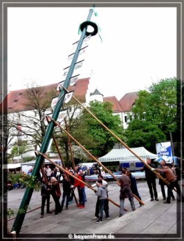 maibaum-2015-5.jpg