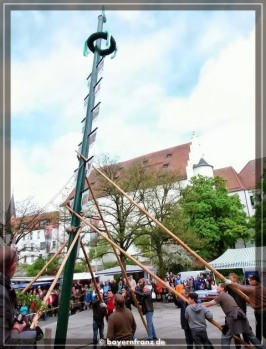 maibaum-2015-7.jpg