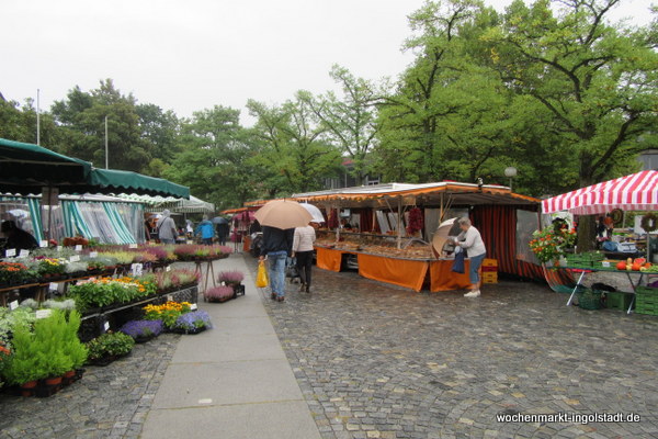 img-0322.jpg