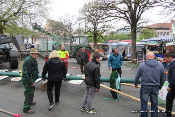 img-0423.jpg