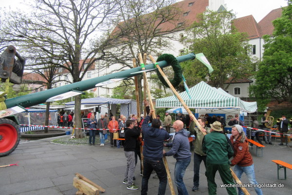 img-0436.jpg