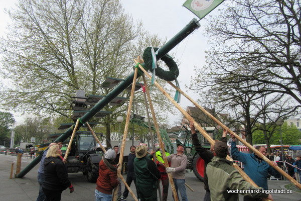 img-0439.jpg