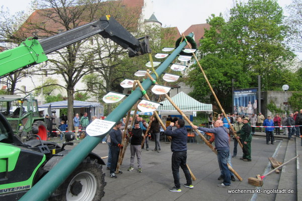 img-0442.jpg