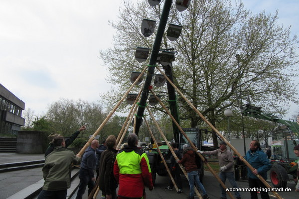 img-0446.jpg
