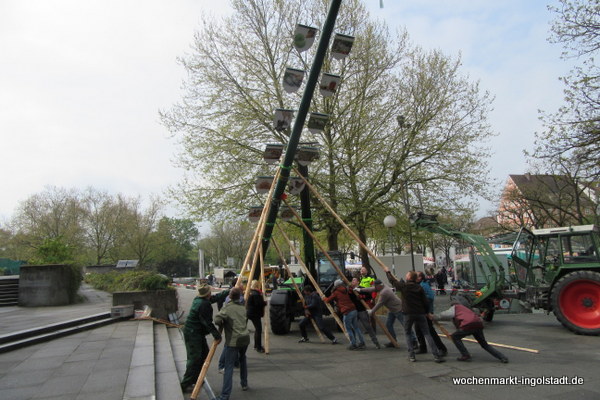 img-0447.jpg