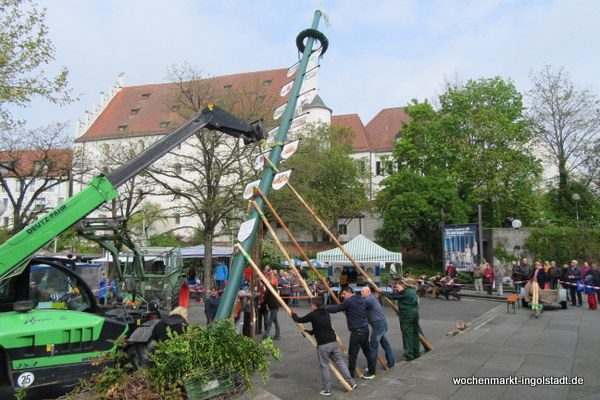 img-0452.jpg