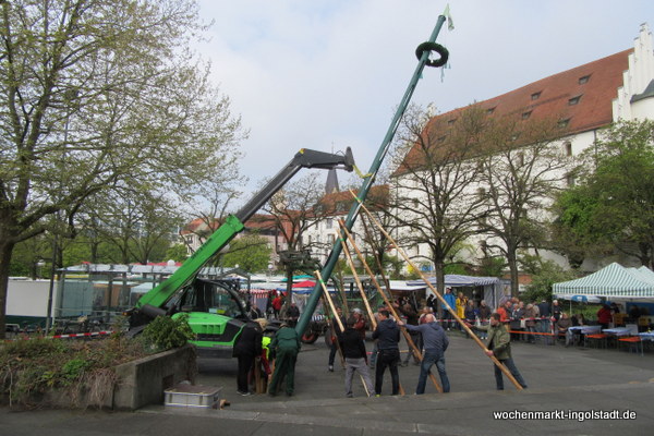 img-0453.jpg