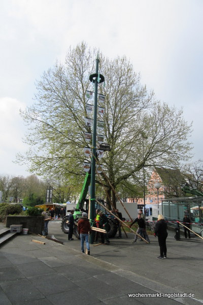 img-0460.jpg