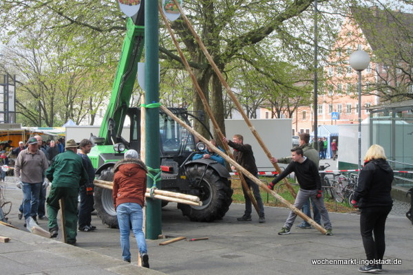 img-0461.jpg