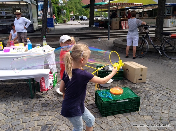 img-20170722-113516.jpg