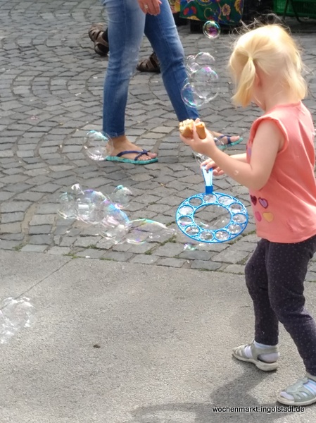 img-20170722-113654.jpg