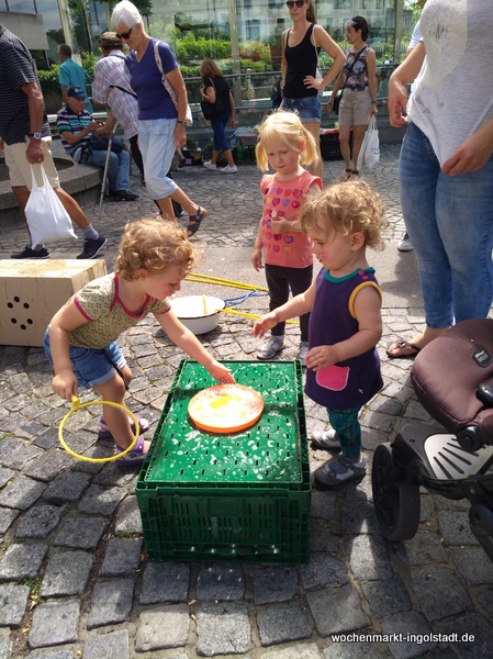 img-20170722-114916.jpg